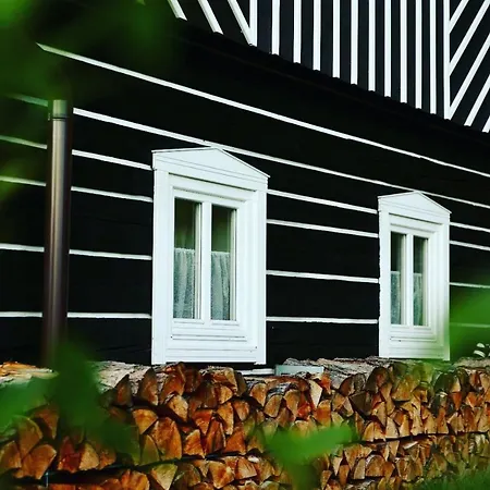 Roubenka 1818 度假居 Vselibice